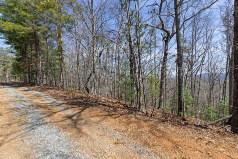 40A Synacia Road Mineral Bluff GA 30559