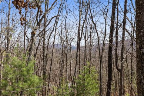 40A Synacia Road Mineral Bluff GA 30559