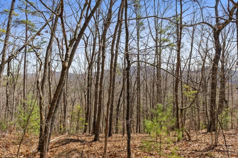 40A Synacia Road Mineral Bluff GA 30559