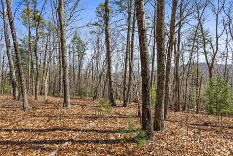 40A Synacia Road Mineral Bluff GA 30559