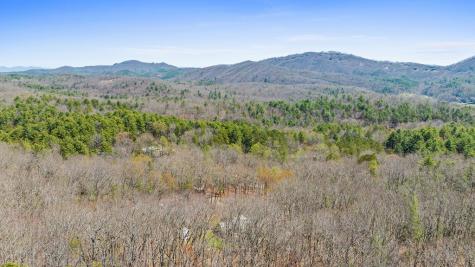 40A Synacia Road Mineral Bluff GA 30559