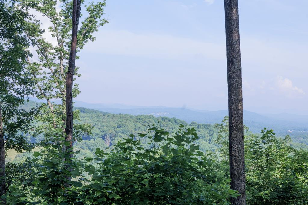 90 Winding Ridge Blairsville GA 30512