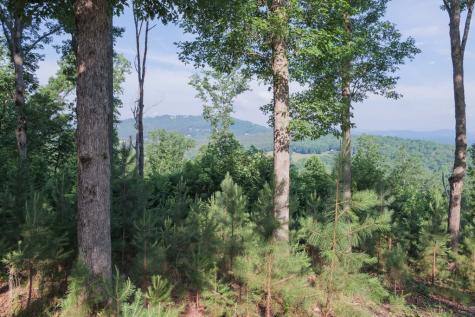 90 Winding Ridge Blairsville GA 30512