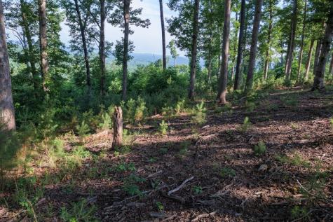90 Winding Ridge Blairsville GA 30512