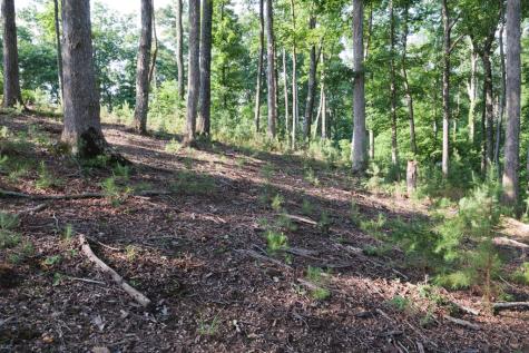 90 Winding Ridge Blairsville GA 30512