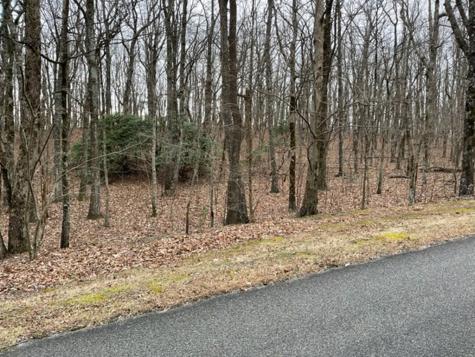 184 St Andrews Way Ellijay GA 30536