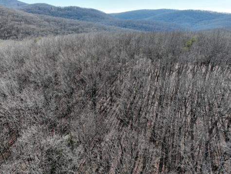 184 St Andrews Way Ellijay GA 30536