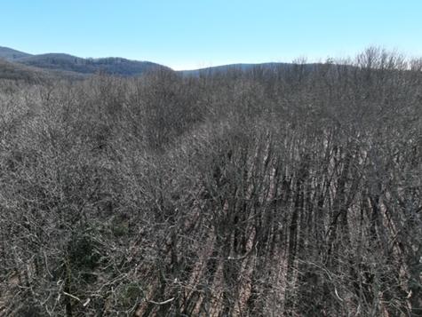 184 St Andrews Way Ellijay GA 30536