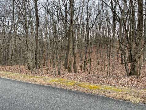 184 St Andrews Way Ellijay GA 30536