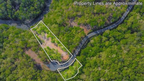 Lot 274 Canoe Way Talking Rock GA 30175