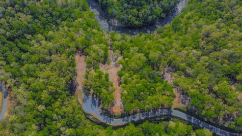 Lot 274 Canoe Way Talking Rock GA 30175