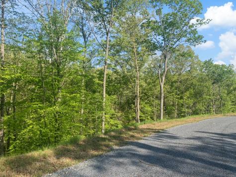Lot 274 Canoe Way Talking Rock GA 30175