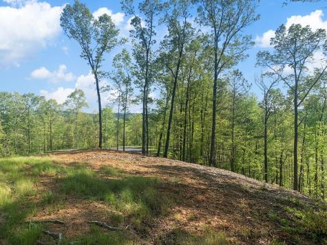 Lot 274 Canoe Way Talking Rock GA 30175