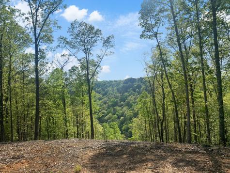 Lot 274 Canoe Way Talking Rock GA 30175