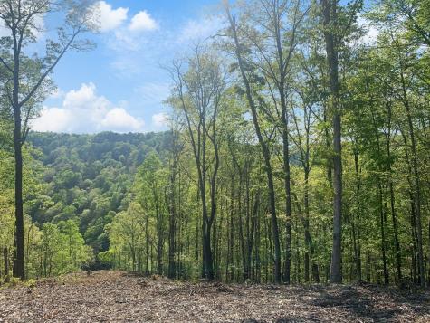 Lot 274 Canoe Way Talking Rock GA 30175
