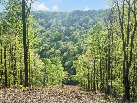 Lot 274 Canoe Way Talking Rock GA 30175