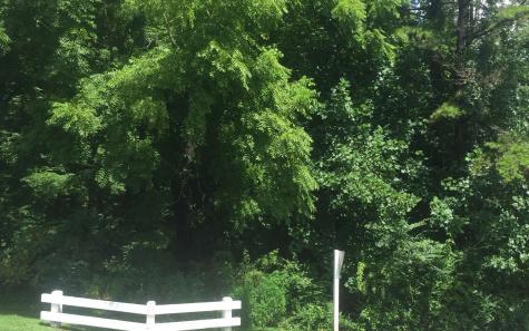 2 & 3 Chatuge Village Drive Hayesville NC 28904