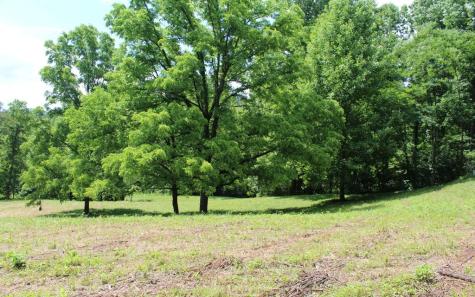 Lot 8 High Meadows Hayesville NC 28904