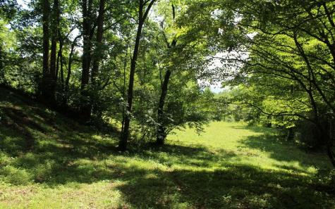 Lot 8 High Meadows Hayesville NC 28904