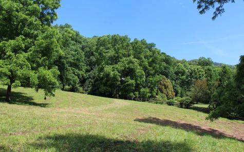 Lot 8 High Meadows Hayesville NC 28904