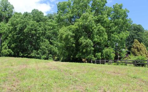 Lot 8 High Meadows Hayesville NC 28904