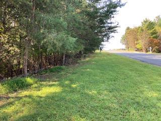 Lot 25 Birchwood Drive Ellijay GA 30540