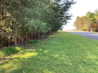Lot 25 Birchwood Drive Ellijay GA 30540