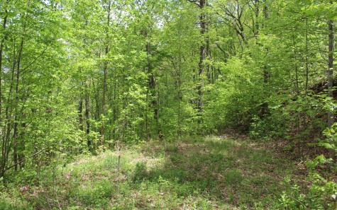 Lt 73 Shiloh Hayesville NC 28904