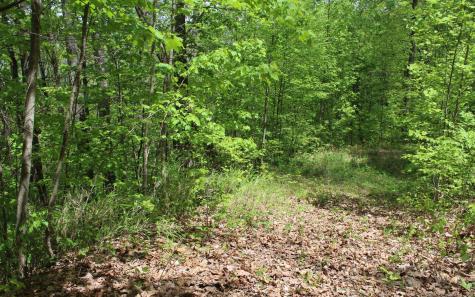 Lt 73 Shiloh Hayesville NC 28904