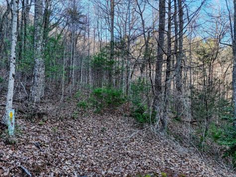 Lot 28 Highland Falls Blairsville GA 30512