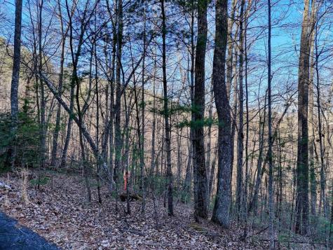 Lot 28 Highland Falls Blairsville GA 30512
