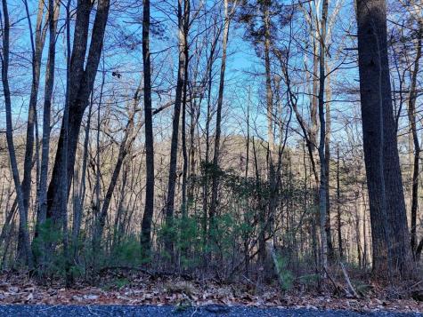 Lot 28 Highland Falls Blairsville GA 30512