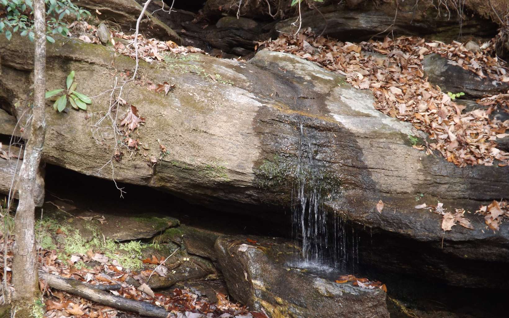 Eastview Eastview Lane- Lot M Clayton GA 30525