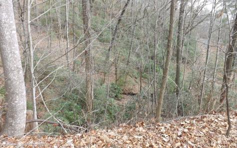 Eastview Eastview Lane- Lot M Clayton GA 30525
