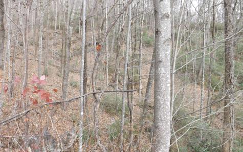 Eastview Eastview Lane- Lot M Clayton GA 30525