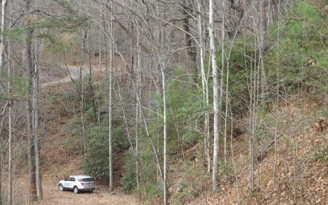 Eastview Eastview Lane- Lot M Clayton GA 30525