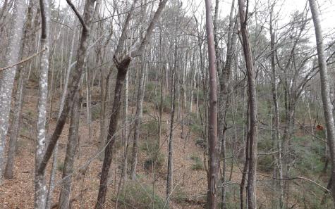 Eastview Eastview Lane- Lot M Clayton GA 30525