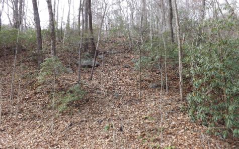 Eastview Eastview Lane- Lot M Clayton GA 30525