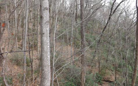 Eastview Eastview Lane- Lot M Clayton GA 30525