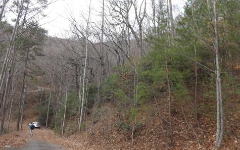 Eastview Eastview Lane- Lot M Clayton GA 30525