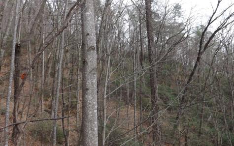 Eastview Eastview Lane- Lot M Clayton GA 30525