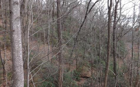 Eastview Eastview Lane- Lot M Clayton GA 30525