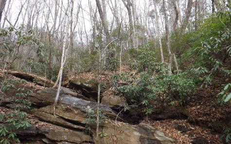 Eastview Eastview Lane- Lot M Clayton GA 30525