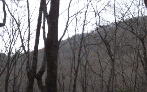 Eastview Eastview Lane- Lot M Clayton GA 30525