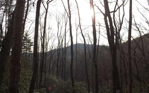 Eastview Eastview Lane- Lot M Clayton GA 30525