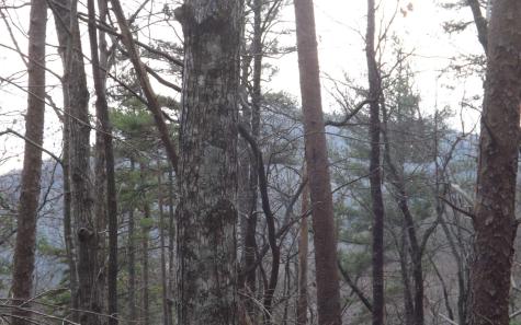 Eastview Eastview Lane- Lot M Clayton GA 30525