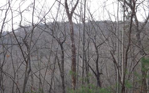 Eastview Eastview Lane- Lot M Clayton GA 30525