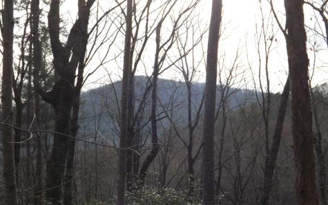 Eastview Eastview Lane- Lot M Clayton GA 30525