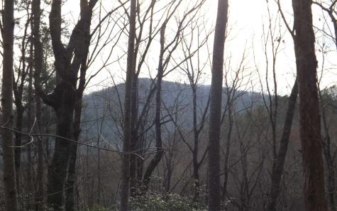 Eastview Eastview Lane- Lot M Clayton GA 30525