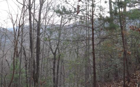 Eastview Eastview Lane- Lot M Clayton GA 30525